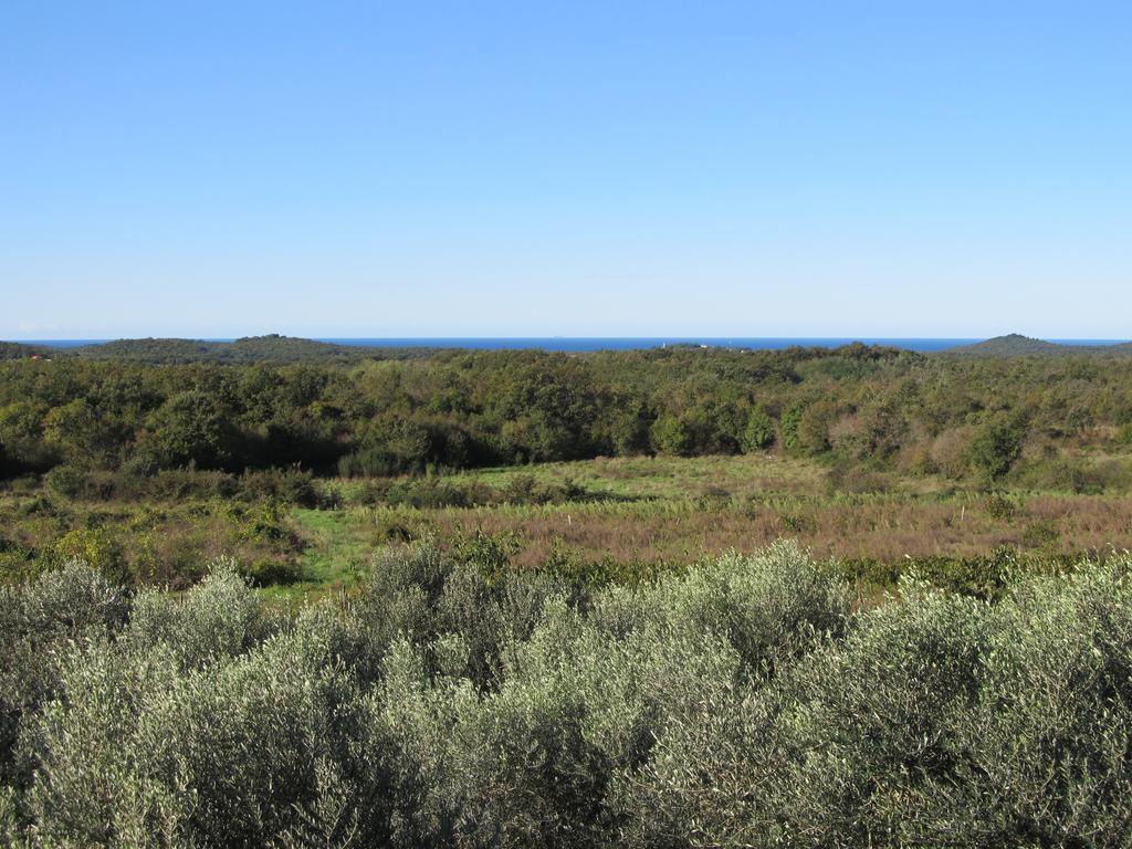 Holiday Home Vinkovic Poreč Dış mekan fotoğraf